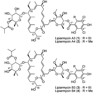 The structure of lipiarmycins.