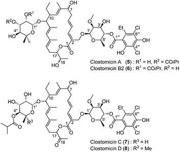 The structure of clostomicins.