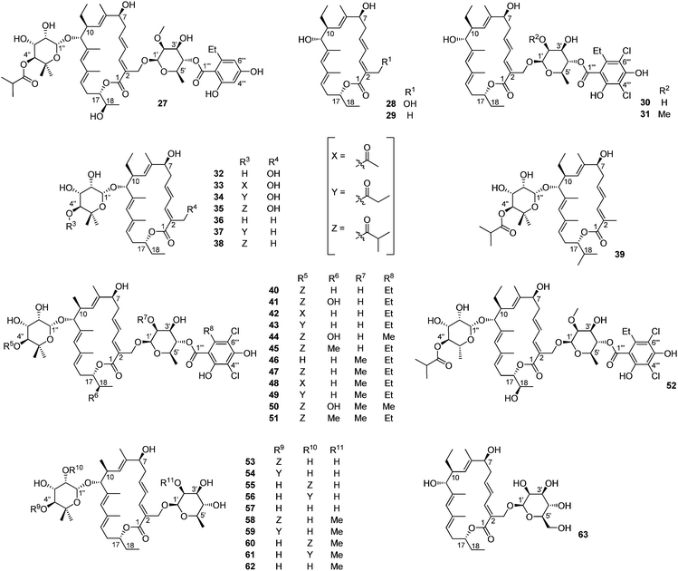 The structure of tiacumicin analogs.