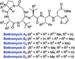 Structures of various bottromycins.