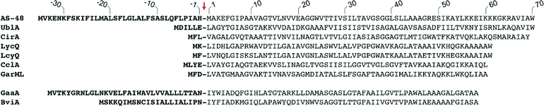 Comparison of the sequences of some cyclic bacteriocins based on the structural genes. The arrow indicates the cleavage site for the N-terminal leader, whose removal is followed by amide bond formation between the amino group of residue 1 and the carboxyl of the C-terminal residue.