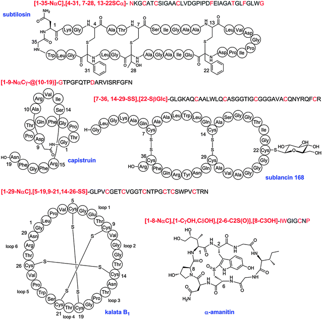 Additional examples of linear shorthand notation for RiPPs.