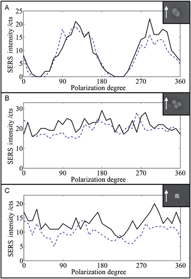 SEM images and SERS polarization dependence (black line) of the single Au dimer (A), the single Au trimer (B), and the Au/Ag 3D superstructure (C). Laser output power: 5 mW. Integration time: 100 ms. The measurements were repeated (blue dashed line) after the polarization was rotated through 360° in 10° intervals. The arrows indicate the polarization direction (0°).