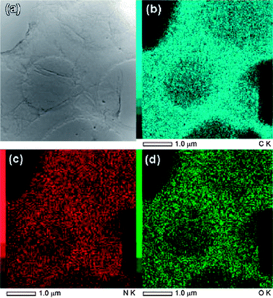 (a) The BF-STEM images of the N-doped graphene and the corresponding EDS maps, (b) C, (c) N, and (d) O. (Reproduced with permission from ref. 107.)