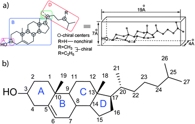 (a) A structural depiction of a cholesterol molecule highlighting the four domains of functional importance ((A) important for polarity and hydrogen bonding, (B) sterol rings, its conformation is important as it provides a rigid planar skeleton, (C) controls the conformation of the side chain, and (D) branched aliphatic side chain) (left) to function in membranes as a flat elongated compound. The structure presumed to form in cellular membranes (right). Reprinted with permission from ref. 37. Copyright (2011) American Chemical Society. (b) Cholesterol molecule showing the tetracyclic steroid frame (A–D) with numbering of carbon atoms of the sterol nucleus and side chain based on the conventional numbering system.17,254