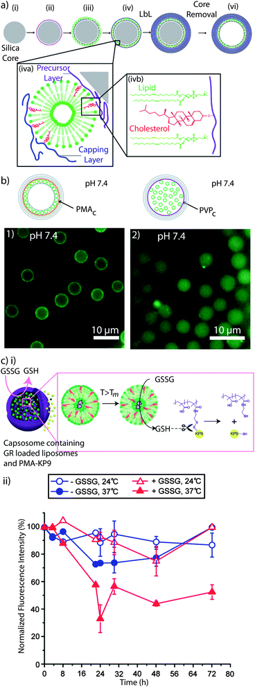 Capsosomes: (a) schematic illustration of the capsosome assembly. A silica particle (i) is coated with a cholesterol-functionalised polymer precursor layer (ii), liposomes (iii), and a cholesterol-functionalised polymer capping layer (iv), followed by subsequent polymer multilayer deposition (v), and removal of the silica template core (vi). Liposomes are adsorbed onto the polymer surface non-covalently with cholesterol-modified polymers (iva). Cholesterol is spontaneously incorporated into the lipid membrane (ivb). Reprinted with permission from ref. 99. (b) Fluorescence microscopy images of capsosomes containing fluorescently labelled liposomes using PMAc (1) or PVPc (2) as precursor and capping layers. While capsosomes assembled using PMAc contain the liposomal sub-units attached onto the carrier membrane, PVPc promotes the free-floating of the liposomes. Reprinted with permission from ref. 93. (c) (i) Release of encapsulated oligopeptide KP9 from capsosomes triggered by glutathione reductase (GR). Upon increasing the T above the Tm of the liposomal subunits, the entrapped GR interacts with the oxidised substrate glutathione (GSSG) and it is converted into its reduced product (GSH) which, in turn, induces the release of KP9 by reducing the disulfide bond. (ii) Normalised fluorescence intensity of capsosomes encapsulating GR within the liposomal subcompartments and fluorescently labelled KP9 upon incubation with GSSG and NADPH as a function of time. A decrease in the fluorescence intensity indicates a release of KP9. Reprinted with permission from ref. 253.