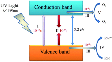 Primary steps in the photocatalytic mechanism (TiO2): (I) formation of electron (e−)–hole (h+) pairs by photoexcitation; (II) photoinduced charge recombination; (III) photoinduced charge transportation; (IV) oxidation caused by a valence band hole; (V) reduction caused by a conduction band electron (adapted with permission from ref. 3, copyright 1995 American Chemical Society).