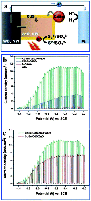 (a) Schematic of the photoelectrochemical hydrogen generation system based on CdSe/CdS/WOx/ZnO; (b) current density as a function of potential under chopped illumination (100 mW cm−2) of (black) as-prepared WOx nanowhiskers, (red) WOx/ZnO, (blue) CdS/WOx/ZnO, and (green) CdSe/CdS/WOx/ZnO; (c) comparison of J–E curves of CdSe/CdS/WOx/ZnO and CdSe/CdS/ZnO under chopped illumination (reprinted with permission from ref. 120, copyright 2011 American Chemical Society).