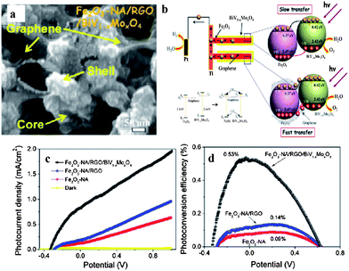 (a) Top SEM image of BiV1−xMoxO4/graphene/α-Fe2O3 core/shell; (b) schematic of energy band structure of BiV1−xMoxO4/graphene/α-Fe2O3 core/shell; (c) potential-dependent photocurrent density and (d) photoconversion efficiency as a function of applied potential of α-Fe2O3, RGO/α-Fe2O3, BiV1−xMoxO4/graphene/α-Fe2O3 (reprinted with permission from ref. 34, copyright 2012 American Chemical Society).