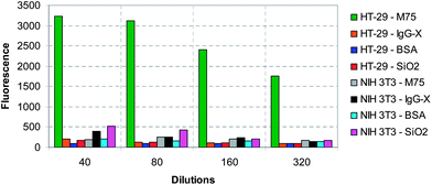 Summary of the flow cytometry results on HT-29 and NIH 3T3 cells (mean fluorescence intensity) for all four particle types as a function of dilution.