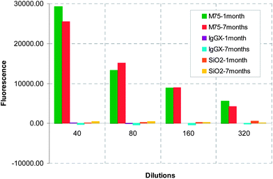 Effect of aging on particle adhesion in an ELISA-like test repeated after 1 and 7 months.