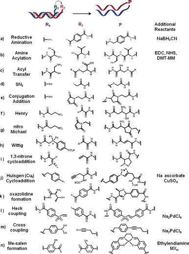 List of coupling reactions (a–n) successfully applied to the concept of OTC. Two complementary oligonucleotides are functionalised with two reactive moieties (R1 and R2). Upon hybridisation of the two complementary strands, R1 reacts with R2 to form a product P (in the absence or in the presence of additional reagents).