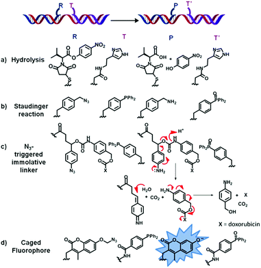 List of four examples (a–d) of chemical reactions of functional group transformation successfully applied to the concept of OTC. Briefly, two oligonucleotides are functionalised with two reactive moieties R and T (here represented in blue and purple, respectively). Upon simultaneous binding of both functionalised oligonucleotides to a single complementary strand (represented here in red), R reacts with T to form product P and T′.