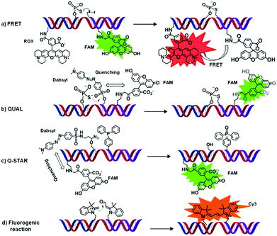 Four examples (a–d) of OTRs applied to DNA (or RNA) sensing. All sensing strategies are based on a fluorescent readout. Briefly, upon binding of two functionalised oligonucleotide probes (here represented in blue and purple) to a single oligonucleotide of interest (i.e. that needs to be sensed, here represented in red) a chemical reaction occurs that leads to the appearance of a characteristic fluorescence signal.