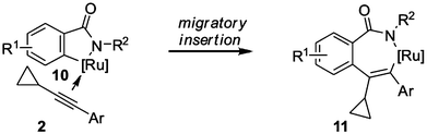 Regiochemistry-determining step of the ruthenium-catalyzed C–H/Het–H and C–H/N–H bond functionalizations.