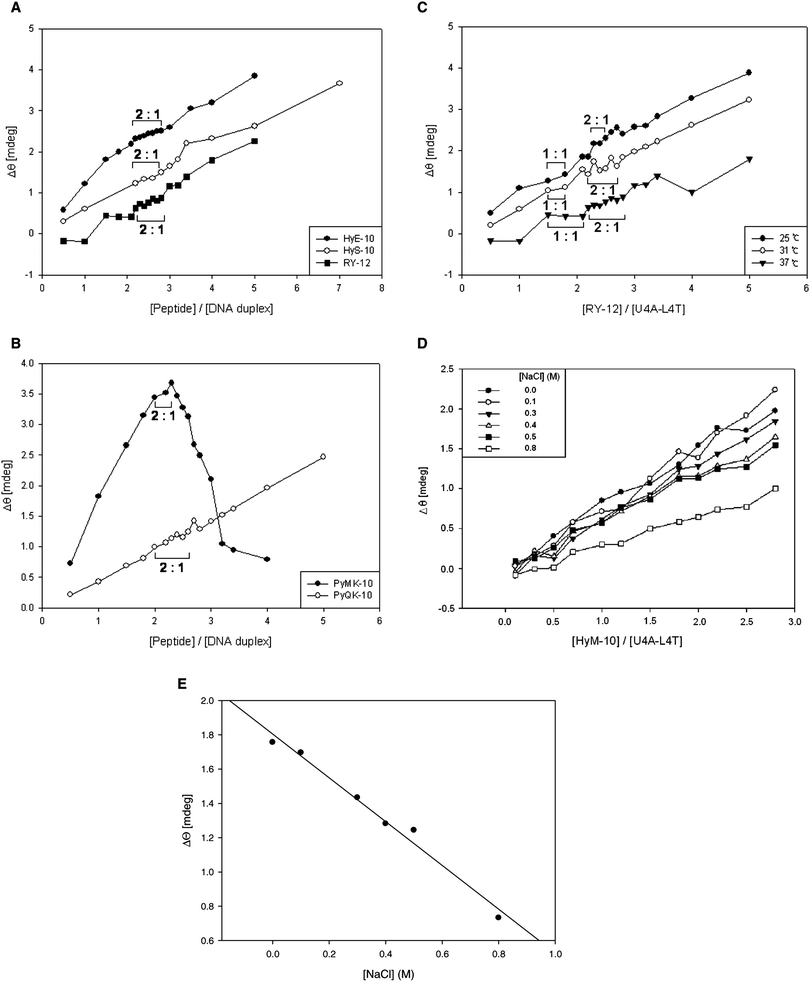 Panel A: plot of CD intensity at 322 nm versus [peptide]/[duplex] for the titration of duplex U4A-L4T with peptides HyS-10, HyE-10, and RY-12 at 37 °C. The proposed stoichiometric binding ratios are as indicated, with binding <2 : 1 considered to be predominantly 1 : 1. Panel B: plot of CD at 322 nm versus [peptide]/[duplex] for PyMK-10 and PyQK-10. Panel C: plot of CD at 322 nm versus [RY-12]/[duplex] at incubation temperatures of 25 °C, 31 °C and 37 °C. Panel D: plot of CD intensity at 322 nm versus [peptide]/[duplex] at various sodium chloride concentrations at 37 °C. Panel E: plot of CD intensity at 322 nm versus sodium chloride concentration.