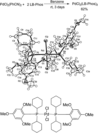 Synthesis and ORTEP representation of trans-PdCl2(LB-Phos)2.