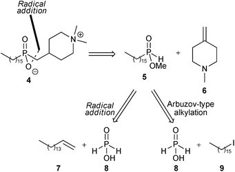 Retrosynthetic analyses of 4.