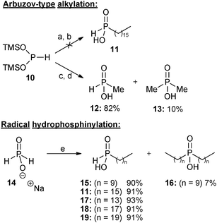 
          Reagents and conditions: (a) hexadecyl iodide, CH2Cl2, 0 °C to reflux, 2 days; (b) THF–H3O+, 0 °C to rt, 2 hours; (c) methyl iodide (0.33 eq), CH2Cl2, 0 °C, 2 hours, then rt, 12 hours; (d) THF–H3O+, 0 °C to rt, 2 hours; (e) terminal alkene, conc. H2SO4, AIBN or VAZO-88, EtOH, reflux, 1 day.