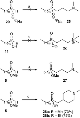 
          Reagents and conditions: (a) 22 (xs), MeOH, AIBN (xs), reflux, 6 days; (b) 23 (xs), EtOH, AIBN (xs), reflux, 6 days; (c) 6 (1 eq), AIBN (1.6 eq), MeOH (for 26a) or EtOH (for 26b), reflux, 3 days.