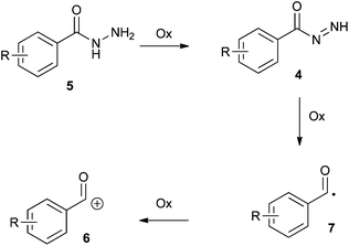 Proposed intermediates in the oxidation of hydrazides.