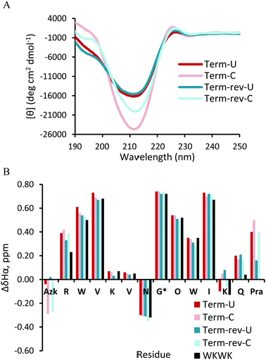 (A) Circular dichroism spectra for terminal position peptides. 50 μM peptide in 10 mM sodium phosphate buffer, pH 7.4. (B) Chemical shift differences of Hα for terminal position peptides. Values for Gly* are glycine splitting values. TOCSY data were acquired with peptide concentrations at 1 mM in 50 mM KD2PO4, pH 7 buffer at 20 °C.