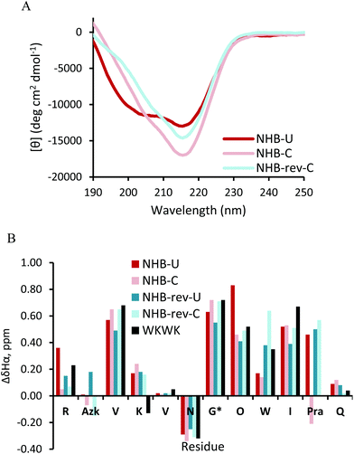 (A) Circular dichroism spectra for non-hydrogen bonded position peptides. 50 μM peptide in 10 mM sodium phosphate buffer, pH 7.4. (B) Chemical shift differences of Hα for non-hydrogen bonded position peptides. Values for Gly* are glycine splitting values. TOCSY data were acquired with peptide concentrations at 1 mM in 50 mM KD2PO4, pH 7 buffer at 20 °C with the exception of NHB-rev-U which was acquired in a 50 mM d-acetate buffer, pH 4.