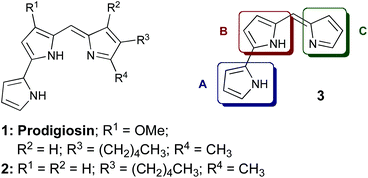 Prodigiosin (1), analogue 2 and prodigiosene core structure 3.