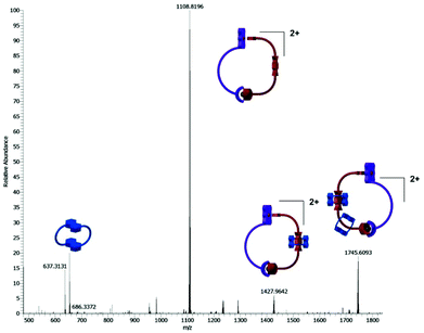 HR-MS of the [3]catenane solution described in Fig. 2e.