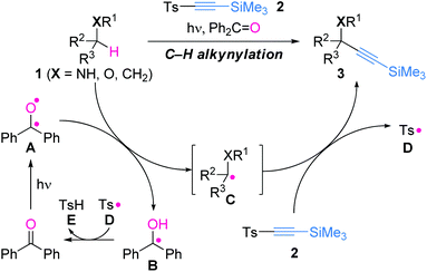 Direct alkynylation of C(sp3)–H bonds and proposed reaction mechanism.