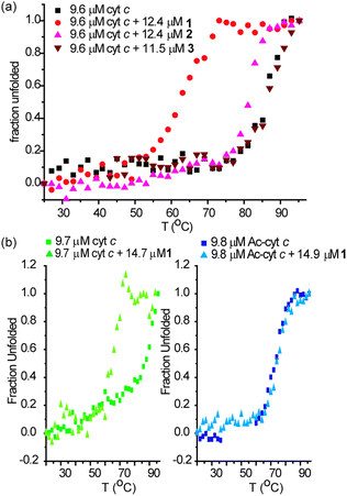 Perturbations to secondary structure of cyt c in the presence of 1–3 and of cyt c and 60% acetylated cyt c in the presence of 1 (5 mM sodium phosphate, pH 7.4), (a) thermal melting profiles of 9.6 μM cyt c in the presence of an excess of 1–3 (b) thermal melting profiles of 9.7 μM cyt c and 9.8 μM 60% acetylated cyt c in the presence of an excess of 1.