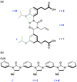 New generations of protein secondary structure mimetic: (a) amphiphilic α-helix; (b) β-strand.