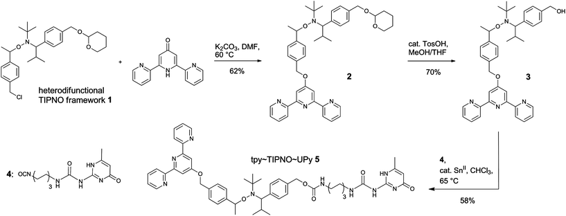 Schematic representation of the synthesis of the hetero- and homodifunctional initiators via sequential functionalization of the heterodifunctional alkoxyamine 1.