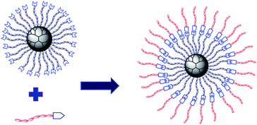 The schematic structure of supramolecular multiarm hyperbranched copolymer H40-star-PCL-A:U-PEG.