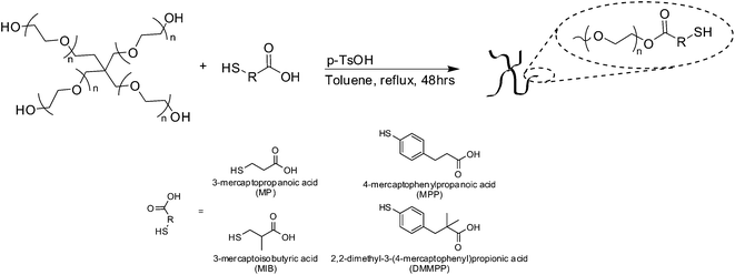 Mercaptoacid esterification of PEG.