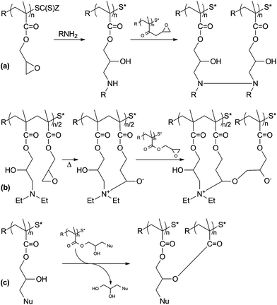 Possible chain-branching mechanisms. By using primary amines (a). Anionic ring-opening crosslinking (b). Transesterification crosslinking (c).