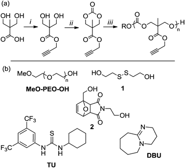 (a) Synthesis and ring-opening polymerization (ROP) of 5-methyl-5-propargyloxycarbonyl-1,3-dioxan-2-one, MPC. Conditions: (i) propargyl bromide, KOH, acetone, reflux, 16 h; (ii) ethyl chloroformate, NEt3, THF, 0 °C; (iii) ROH, catalyst, CDCl3, RT; (b) alcohol initiators and organic catalysts used in the ROP of MPC.