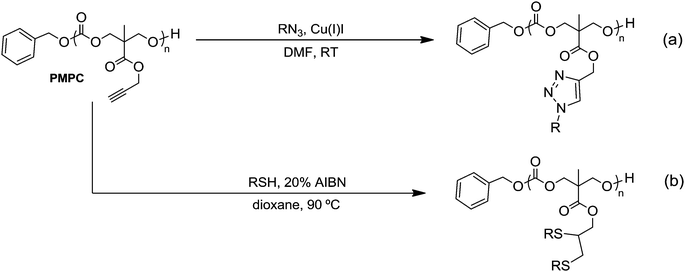 (a) Huisgen cycloaddition of azides (N3R) to PMPC homopolymers; (b) radical addition of thiols (RSH) to PMPC homopolymers.