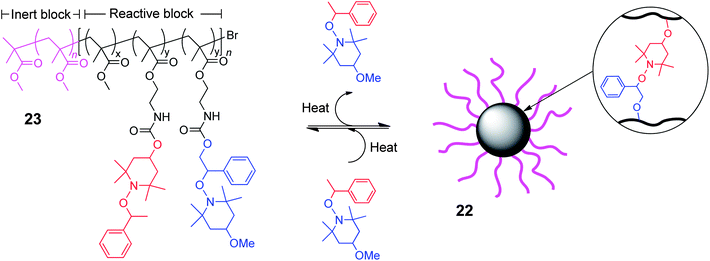 Core cross-linked star polymer formation via a TEMPO-based thermally exchangeable radical crossover reaction between multiple linear copolymer building blocks.38