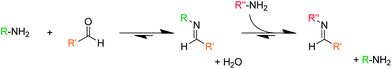 The features of DCBs which make them of such interest in polymer chemistry are highlighted using the imine bond as an example. The condensation of an amine with a carbonyl (in this instance an aldehyde) to form an imine bond and a molecule of water. The position of this equilibrium is sensitive to environmental conditions such as temperature, concentration, pH, etc. DCBs can also undergo component exchange process, illustrated here with the reaction of the imine bond with another amine to afford a new imine bond. Exchange processes can allow polymers to reshuffle or incorporate/deincorporate their components, changing their structures and thus their properties and function.