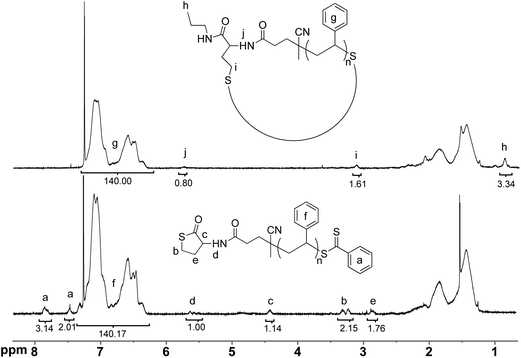 
            1H-NMR (500 MHz, CDCl3) spectra of linear PS (l-PS, 6, bottom) and cyclic PS (c-PS, 7a, top) with corresponding signal integration values.