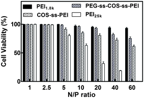 Cell viabilities of polymer–pDNA complexes in Hela cells at N/P ratios from 1/1 to 60/1 (n = 3).