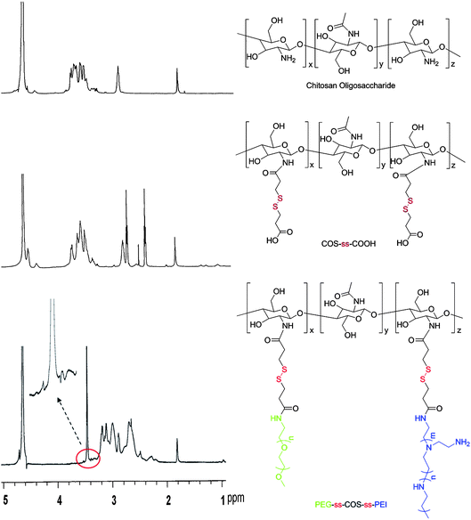 The 1H NMR spectra of the polymers.