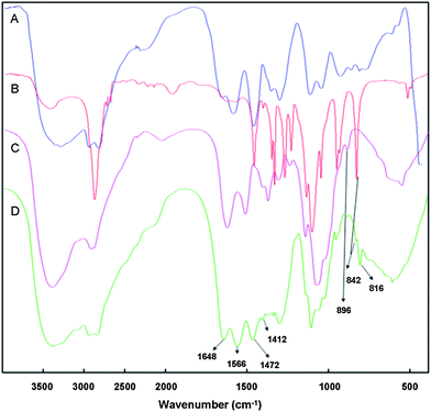 The FT-IR spectra: (A) PEI1.8k; (B) mPEG-NH2; (C) COS; (D) PEG-ss-COS-ss-PEI.