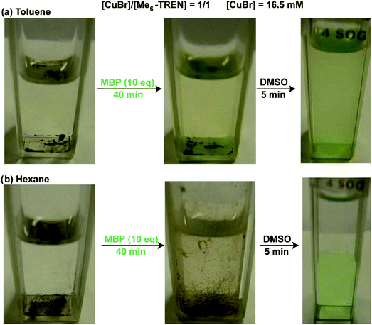 Visual observation of Cu(0) nanoparticles and CuBr2 generated from the disproportionation of CuBr in toluene (a); and hexane (b) before and after reaction the with MBP at 25 °C. MBP was added to the disproportionation mixtures after 40 min, followed by addition of 1.8 mL of DMSO. Conditions: solvent = 1.8 mL, [CuBr] = 16.5 mM, [MBP]/[CuBr]/[Me6-TREN] = 10/1/1.
