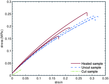 Tensile properties of T2 in a healing experiment.