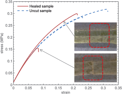 Tensile properties of T3 in a healing experiment. Healing experiments done at samples first used for stress relaxation 24 hours after production. Pictures show the scar of the samples tested.