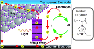 Scheme of a dye sensitized solar cell.