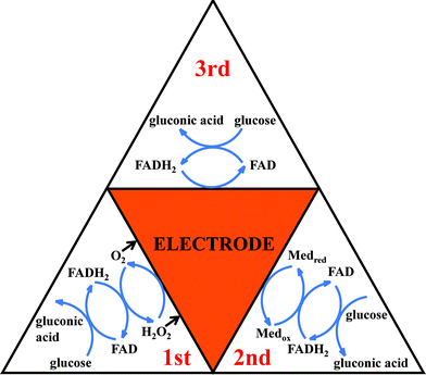 Summary of enzymatic glucose oxidation mechanisms, presented as the first, second and third generation sensors.51 Redrawn with permission from ref. 51, copyright 2010 by ESG (www.electrochemsci.org). Note that glucose assay at a first-generation amperometric enzyme electrode can be conducted in the three following amperometric signaling modes, i.e., cathodic detection of O2 and H2O2 as well as anodic detection of H2O2, and the anodic detection of H2O2 to regenerate/replenish O2 is obviously more favorable for enhancing the enzymatic reaction cycle (versus the other two modes).