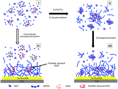 Procedures for immobilization of GOx via the chemical preoxidation electropolymerization and conventional electropolymerization protocols. Reprinted with permission from ref. 160, copyright 2008, American Chemistry Society.